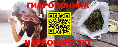 гашик Волжск