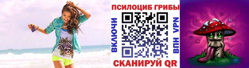 продажа наркотиков  Бузулук  Псилоцибиновые грибы Psilocybe 
