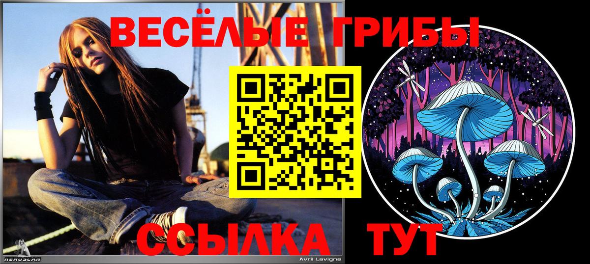 Псилоцибиновые грибы мухоморы  как найти   Бузулук 