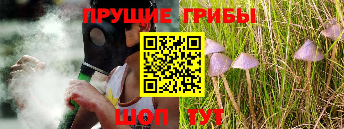 Галлюциногенные грибы Magic Shrooms Бузулук